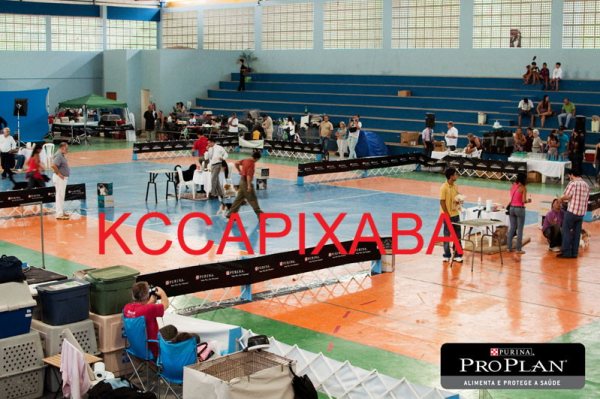 Clique sobre a foto para fechar